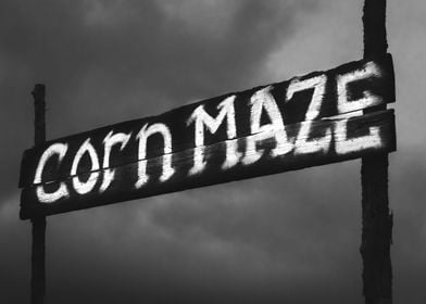 Corn Maze Noir