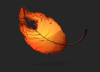 Firefly Leaf