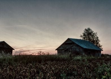 Barn Houses By The Fields