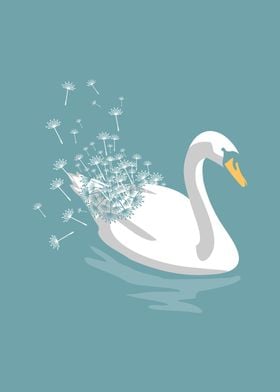 Swan Dandelion