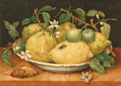 Still Life with Citrons