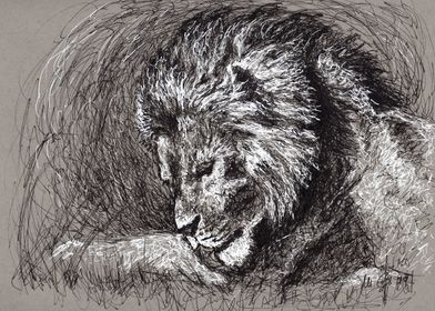 lion scribble art