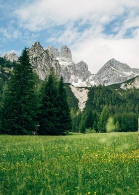 Alps Summer Peak