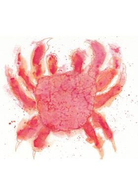 Crab