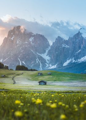 Alpe di Siusi