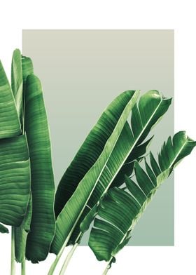 Palm Leaves in Olive 3