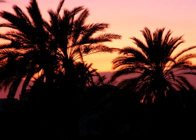 Sunset on Djerba