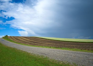 Green field nature pattern