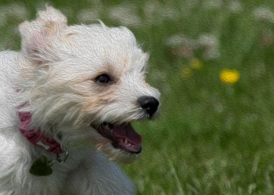 Puppy Smile