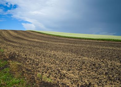 Agriculture field pattern