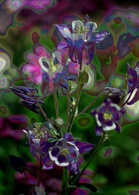 Purple Flower Fantasy