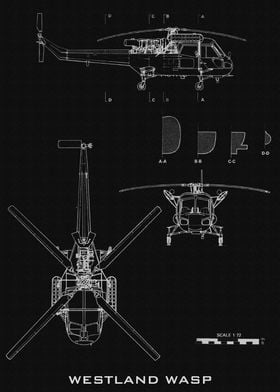 WESTLAND WASP