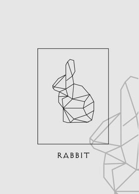 Geometric Rabbit