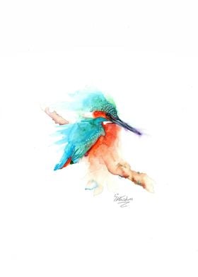 The Kingfisher