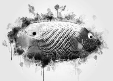 Tropical Fish BW