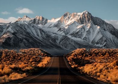 Mountain Road View