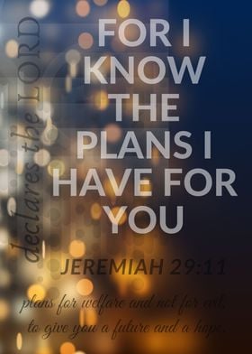 Jeremiah 29 11