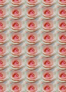 Roses Pattern