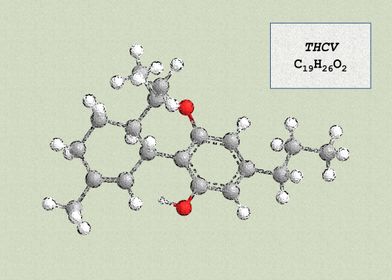 Tetrahydrocannabivarin THC