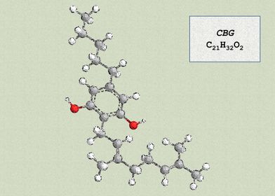 Cannabigerol CBG