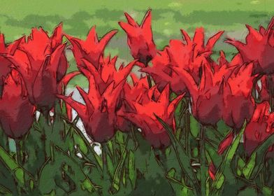 Vibrant Red Tulips 