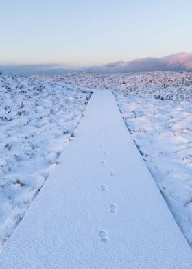 Steps in the snow