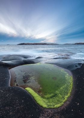 Pool of green