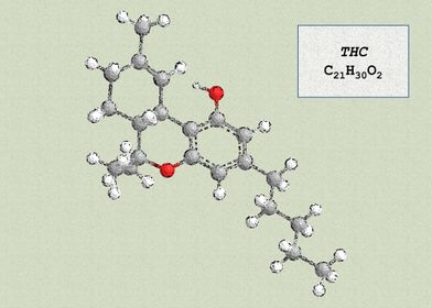 Tetrahydrocannabinol THC