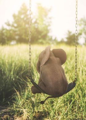 Baby Elephant on a swing