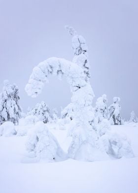 Snow giant 08