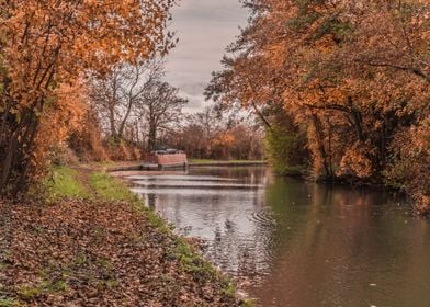 Fall Grandunion Canal