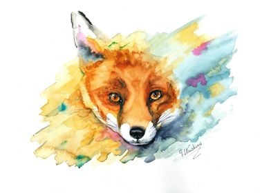 The Emerging Fox