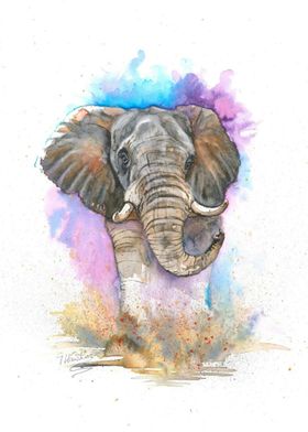 The Elephant