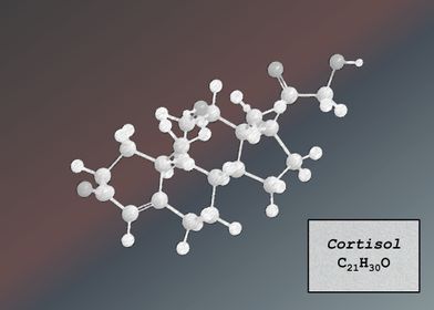 Cortisol