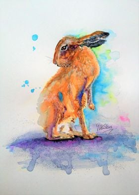 The Hare