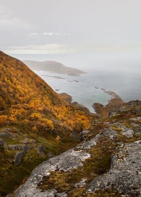 Rainy coast