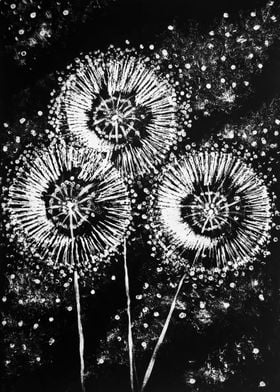 Dandelions