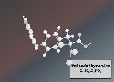 Triiodothyronine