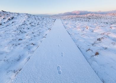 Foot steps in the snow