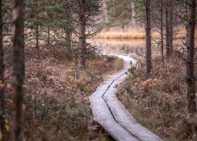 Frosty walkway