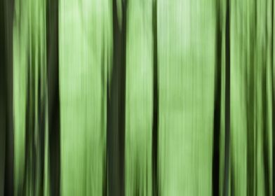 Forest blur