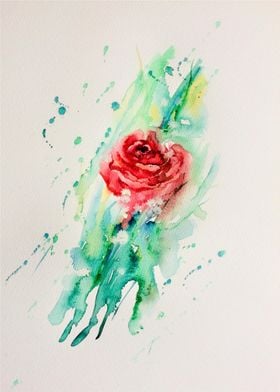 The Rose