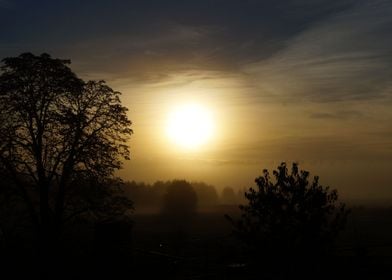 Foggy morning