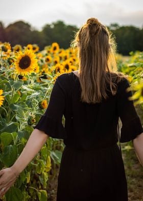 Girl in a sunflowerfield