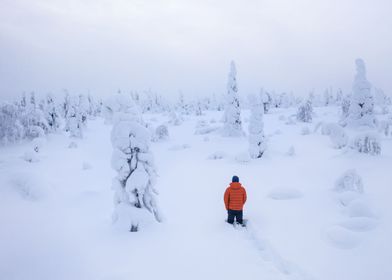 Deep in snow