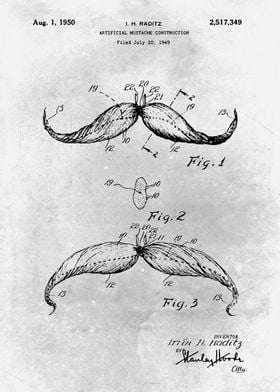 No501 Artificial mustache