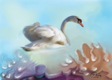 Swan