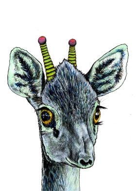 DIK DIK PIC