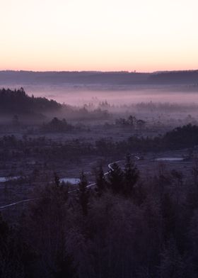 Morning mist