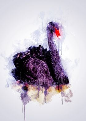 Black Swan